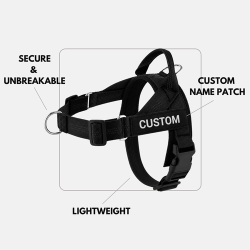 PAWES™ No-Pull Dog Harness