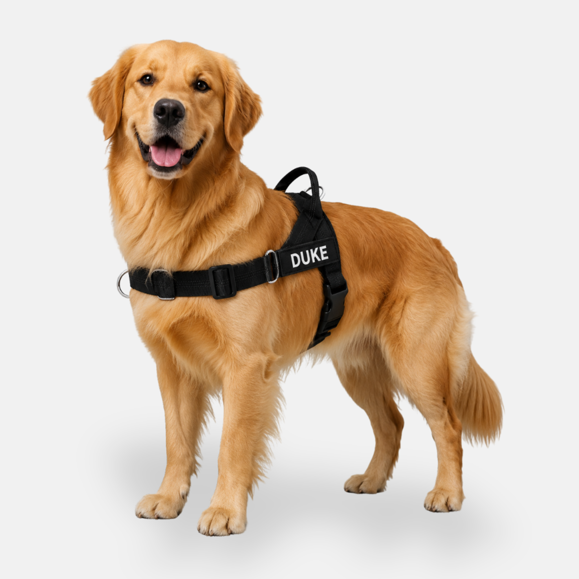PAWES™ No-Pull Dog Harness